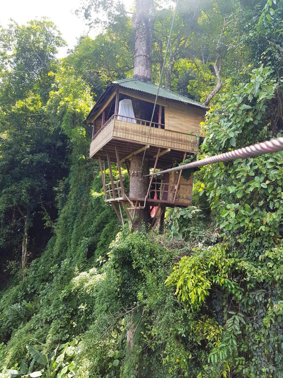 Elephant Adventure Village Tree House Vang Vieng Exteriör bild