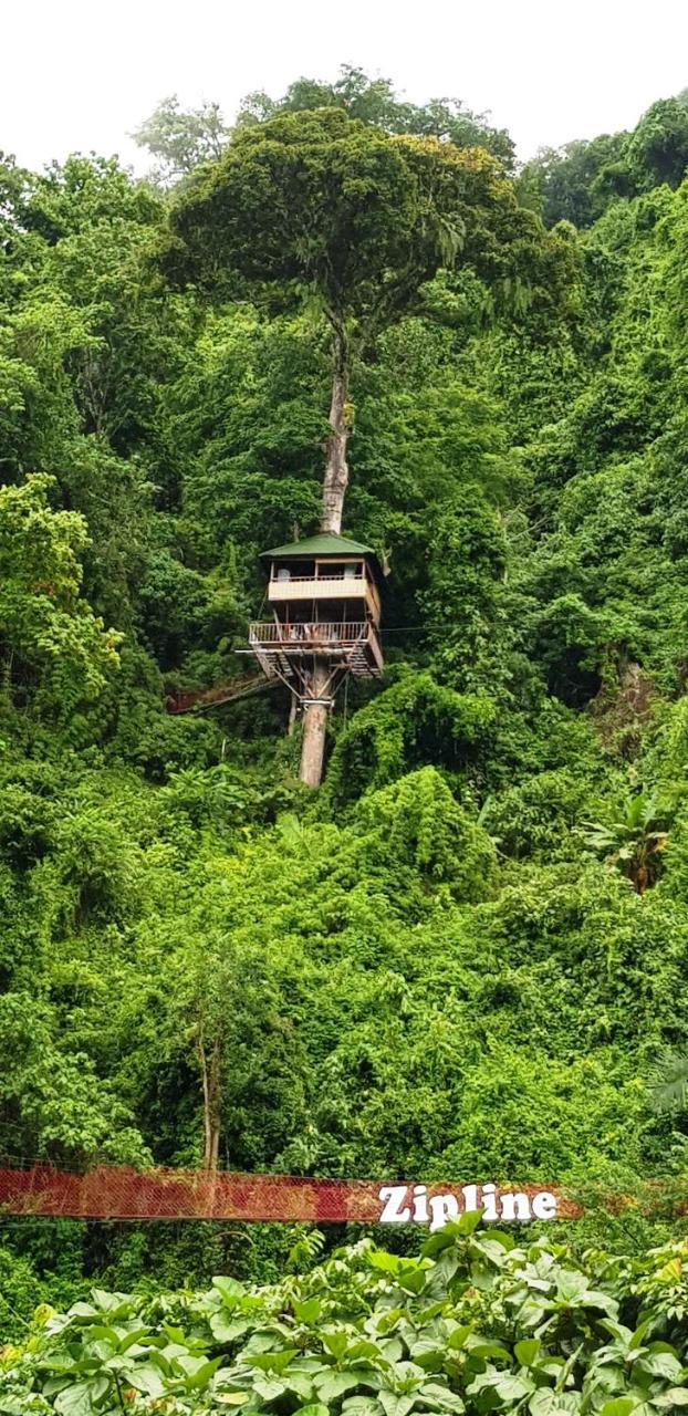 Elephant Adventure Village Tree House Vang Vieng Exteriör bild