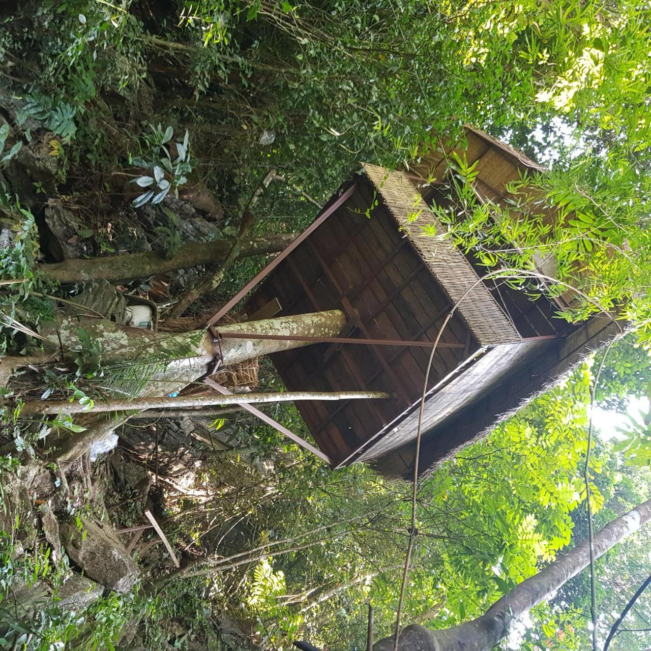 Elephant Adventure Village Tree House Vang Vieng Exteriör bild