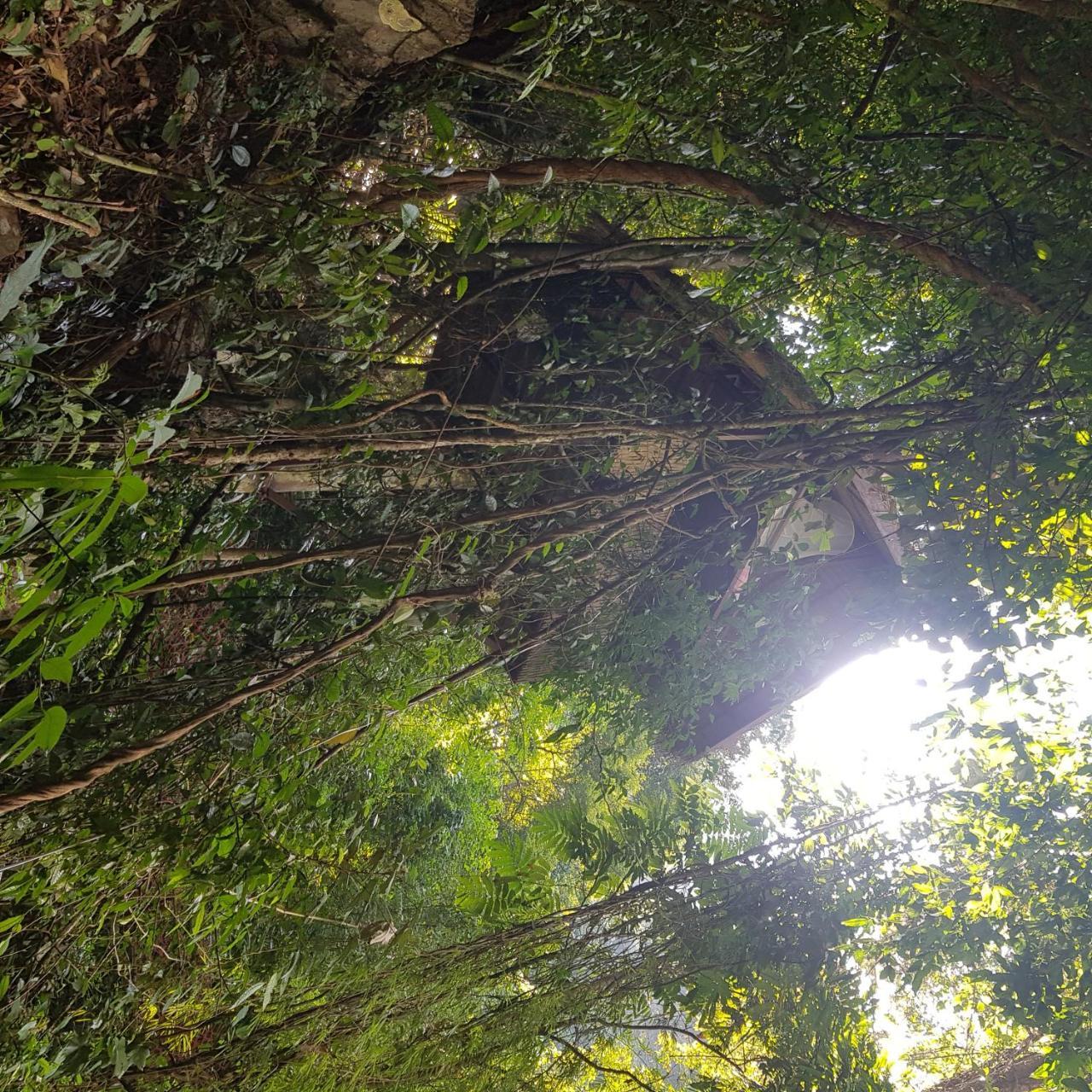 Elephant Adventure Village Tree House Vang Vieng Exteriör bild